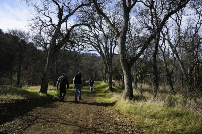 Ohlone Wilderness Trail