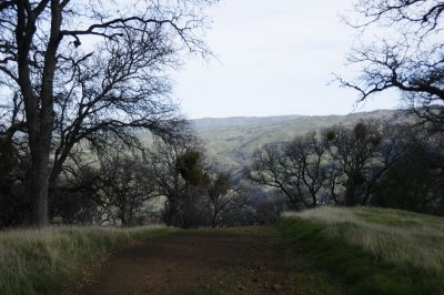 View from the top of the hill