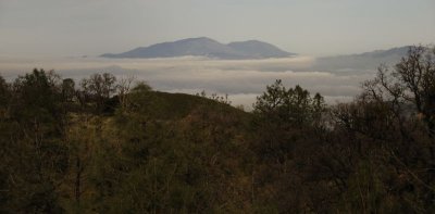 Fog below Mt. Diablo