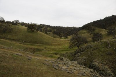 View back from the falls