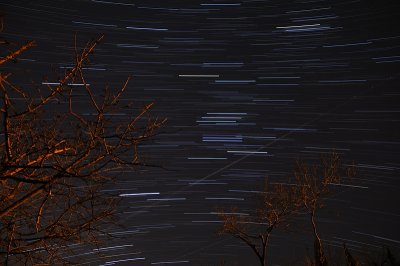 Star Trails