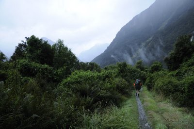 On the Milford Track