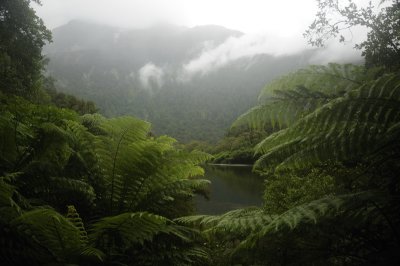 Calm Arthur River