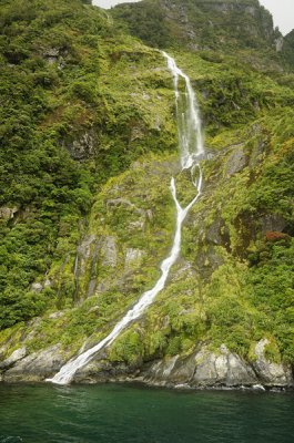 Bowen Falls along the Milford Sound