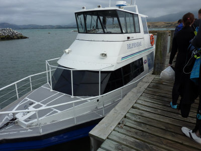 Boarding the boat for the Dolphins Encounter