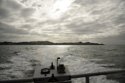 On our way to find the dolphins