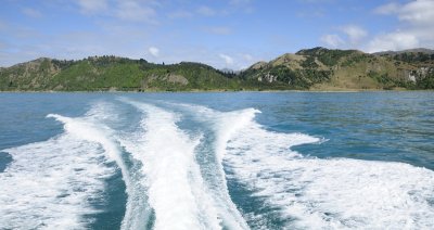 Going Back to Kaikoura