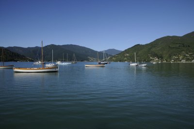 Bay at the Queens Charlotte Trail head