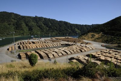 Lumber Yard