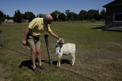 Roger and the friendly Goat