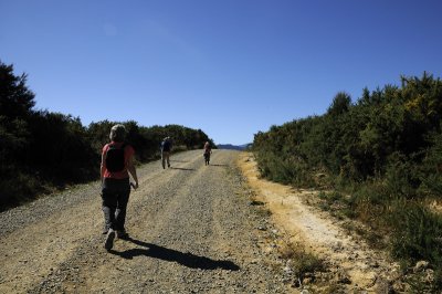 On the Snout Track