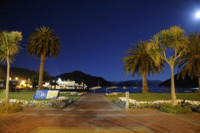 Daylight stars over Picton Bay