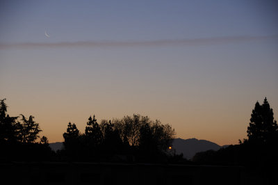 Morning Sliver of the Moon