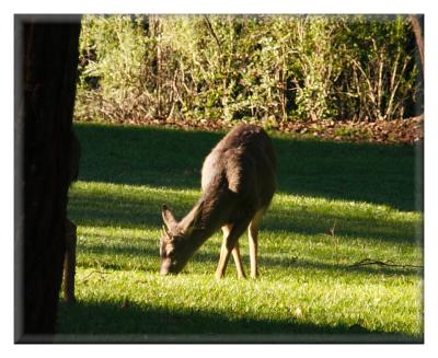 Dec 4 - Hike at Sanborn County Park