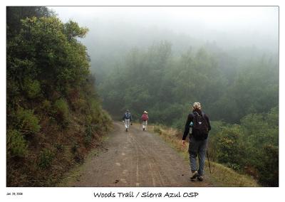 Soggy Trails