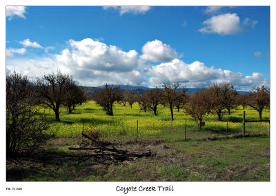 Feb 19 - Bike ride on the Coyote Creek Trail