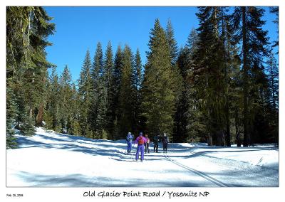 Cross-country skiing on the Old Glacier Pt Road