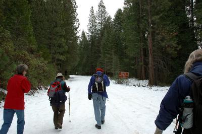 Starting our hike to Mariposa Grove