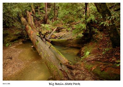 Down to another Creek