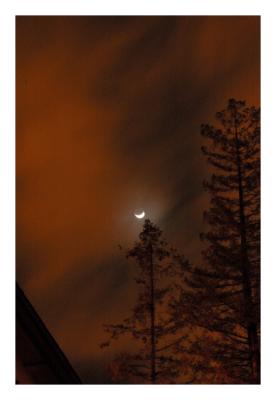 Setting Crescent Moon thru the clouds