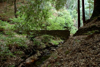 Bridge over our creek