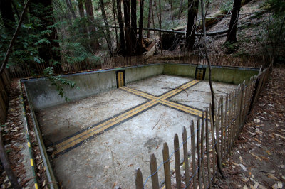 Empty Swimming Pool under the redwoods