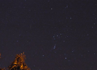 An Orionid Meteor