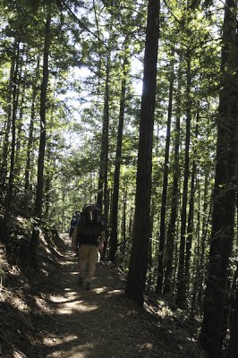 Back down the Matt Davis Trail