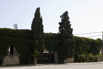 Tofik Behramov Stadium