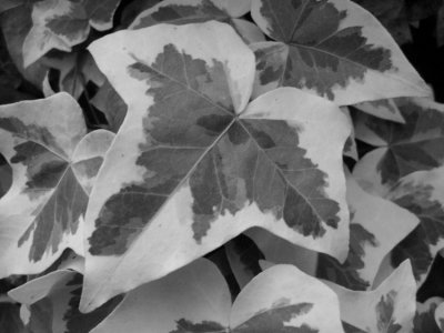 g3/75/750975/3/120813028.SYqxa4m5.jpg
