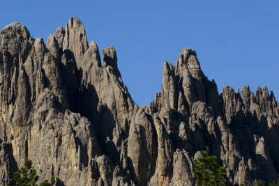 07-11-08 Needles Highway close  024.jpg