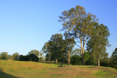 The Moggill area