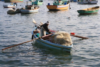 Le retour au port