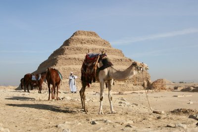 Les pyramides de Saqqarah