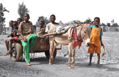 Transport en commun