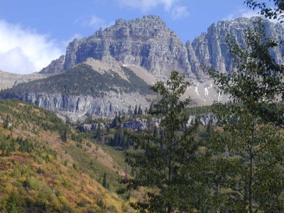 Glacier Park Beauties.jpg