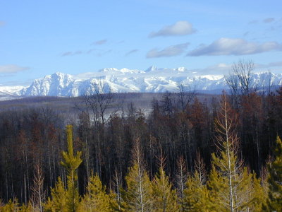 Looking into Glacier Park from the Northfork.jpg