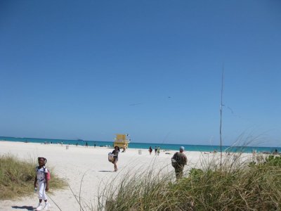 g3/75/798675/3/123412289.bGyTftE0.jpg
