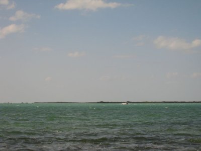 g3/75/798675/3/123412301.DfcUkA2a.jpg