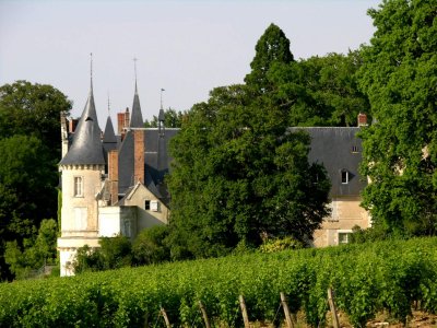 Tracy-sur LoireLe château