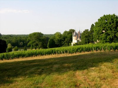Tracy-sur-LoireLe château