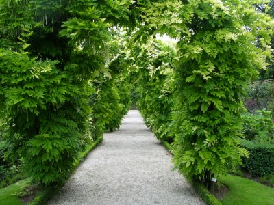 Parc de Bagatelle