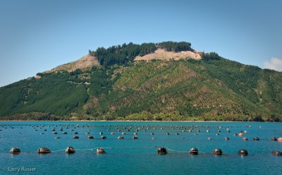 Marlborough Sounds