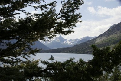 Wild Goose Island.JPG