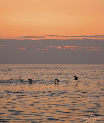 IMG_0860.jpg