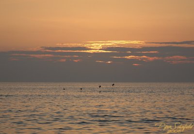 IMG_0882.jpg