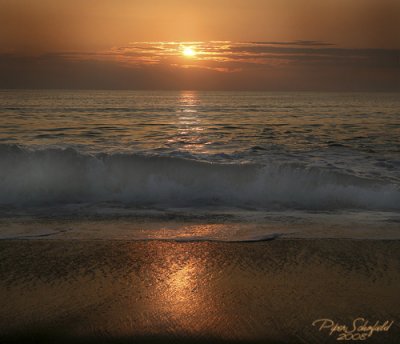 IMG_0903f.jpg