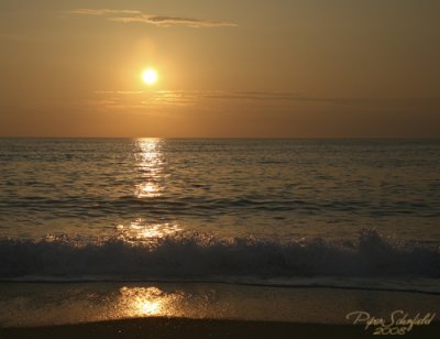 IMG_0936.jpg