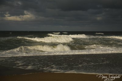 IMG_1368.jpg
