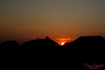 IMG_8676.jpg